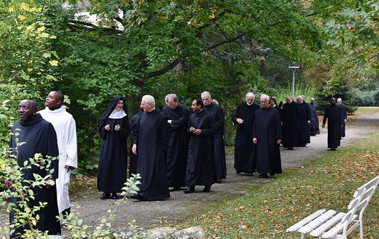 Mönche der Abtei Münsterschwarzach ziehen gemeinsam einen Weg entlang 