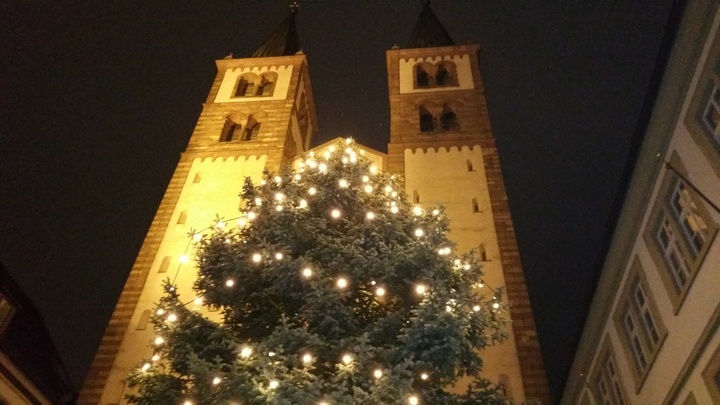 Weihnachtsbaum vor dem Würzburger Dom