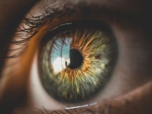 Das Bild zeigt in Nahaufnahme das Auge eines Menschen. Der Fokus liegt auf der Pupille.
