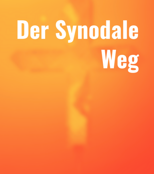 Banner Der Synodale Weg