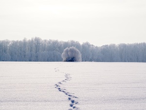 Eine Fußspur im Schnee