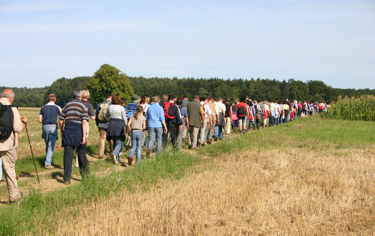 Wallfahrer ziehen an einem Feld vorbei.