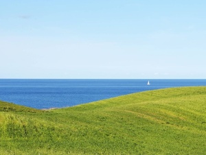  Graslandschaft an der Küste der Ostsee. Auf dem Meer ist in der Ferne ein Segelboot zu sehen.