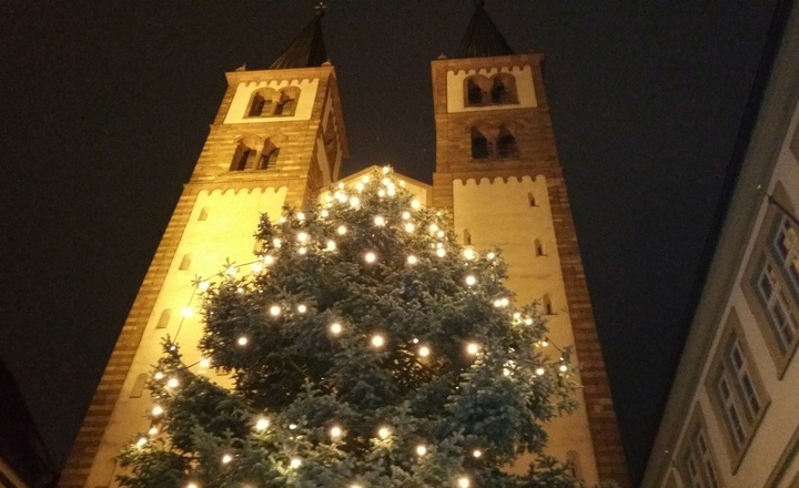 Weihnachtsbaum vor dem Würzburger Dom